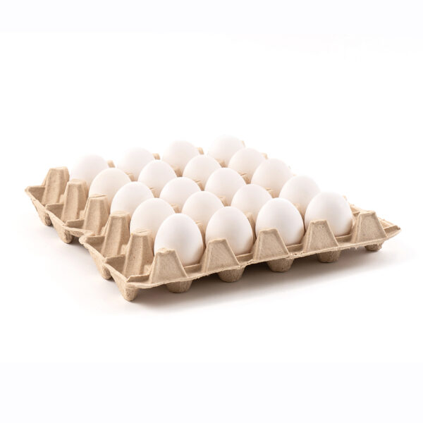 Huevo Super Blanco- Caja de 100 unidades - Imagen 3