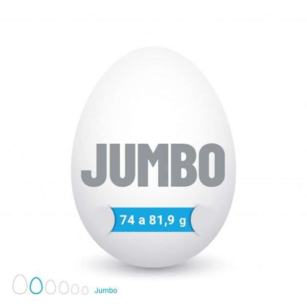 Huevo Jumbo Blanco (74 a 81,9 g) Caja de 100 unidades - Imagen 2
