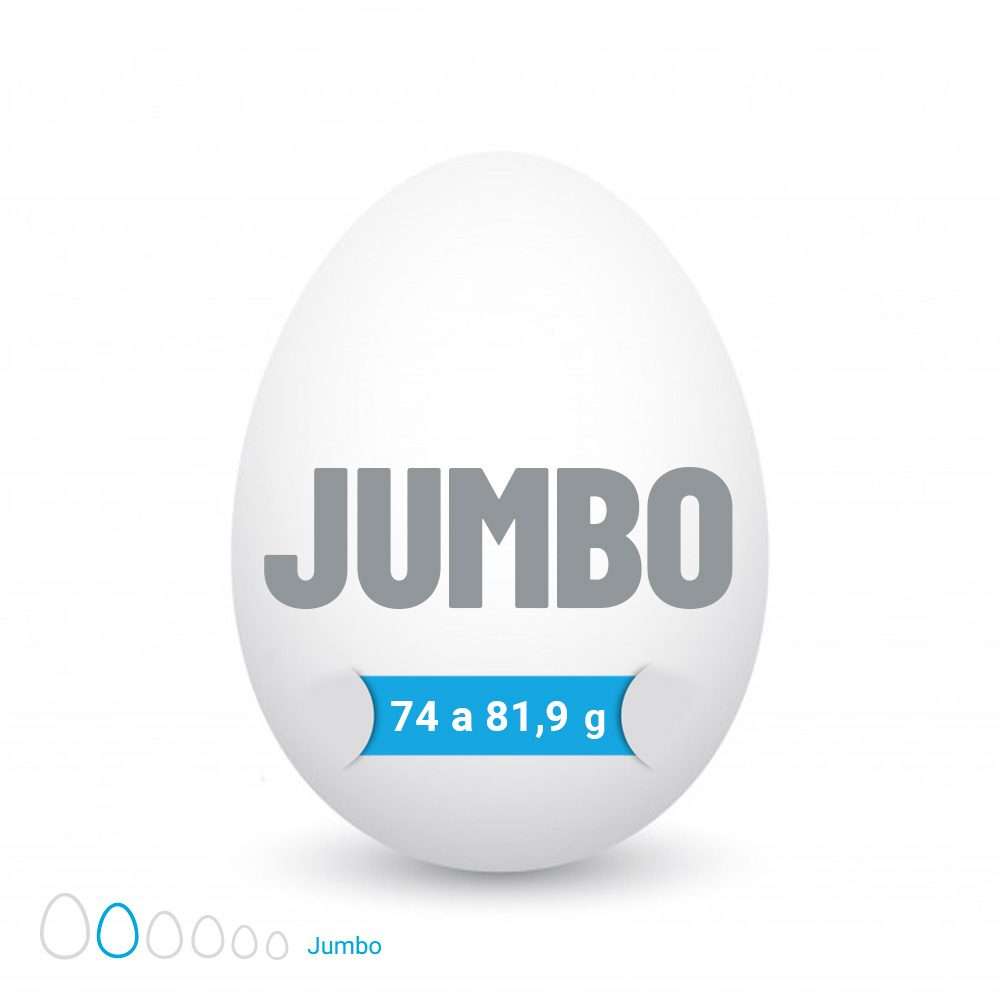 Huevo Jumbo Blanco (74 a 81,9 g) Caja de 100 unidades - Imagen 2