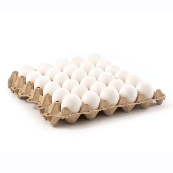 bandeja Huevo Extra Blanco Caja de 180 unidades Agricovial