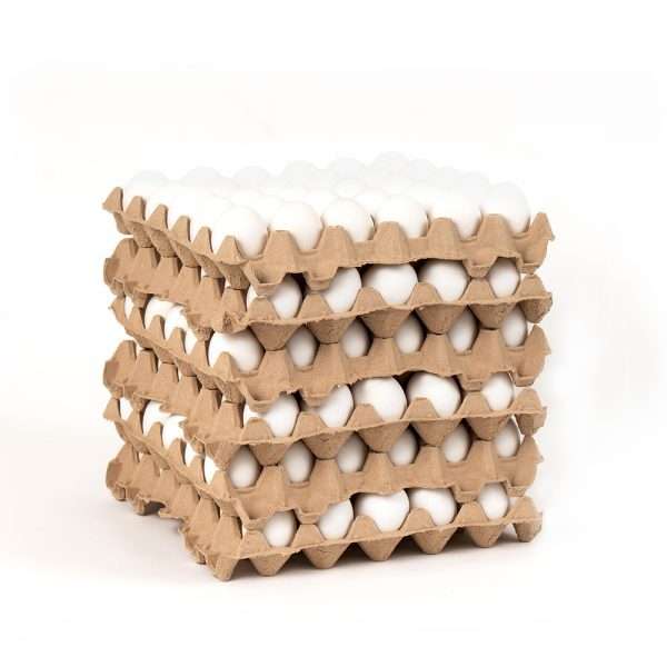 Bandejas Huevo Extra Blanco Caja de 180 unidades Agricovial