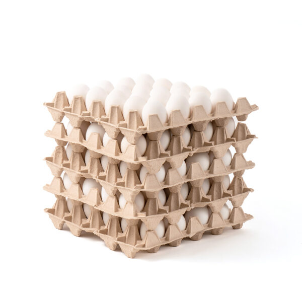 Huevo Jumbo Blanco - Caja de 100 unidades - Imagen 2