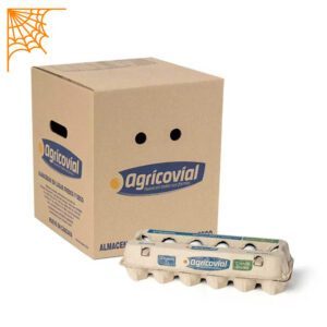 Pack Huevo Blanco Primera (54 a 60,9 g) de 15 docenas (180 unidades)