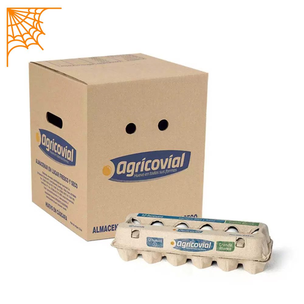 Pack Huevo Blanco Primera (54 a 60,9 g) de 15 docenas (180 unidades)