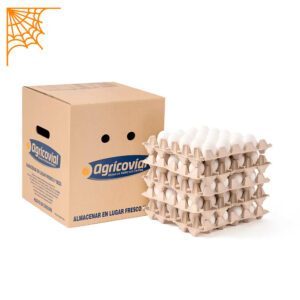 Huevo Super Blanco (68 a 73,9 g) Caja de 100 unidades
