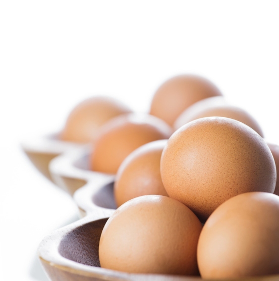 Distribuidora de huevos en Santiago - Agricovial 2925