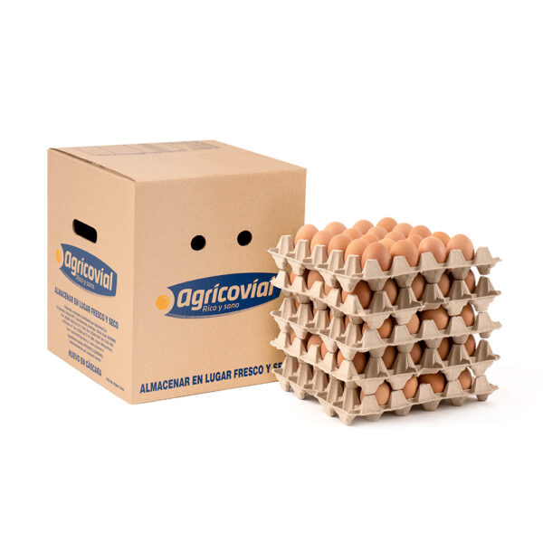 venta de Caja de huevos por mayor en Agricovial 2025