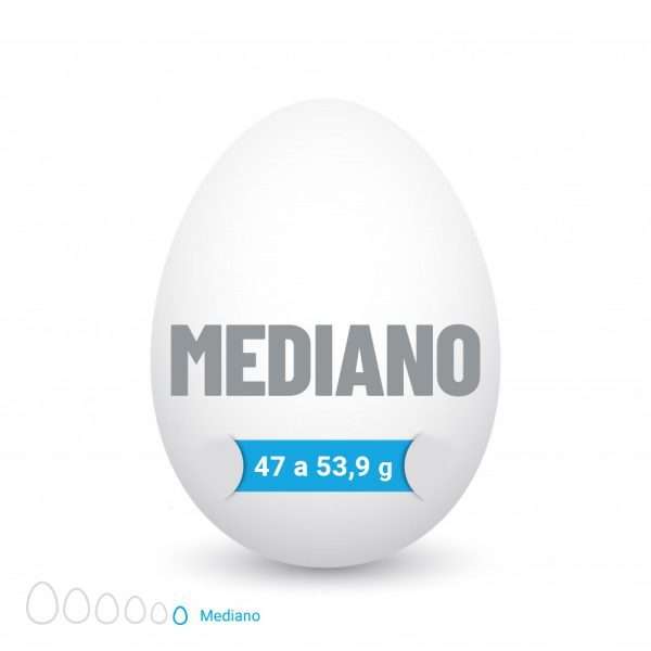 Pack Huevo Blanco Mediano (47 a 53,9 g) de 30 deceneras (300 unidades) - Imagen 2