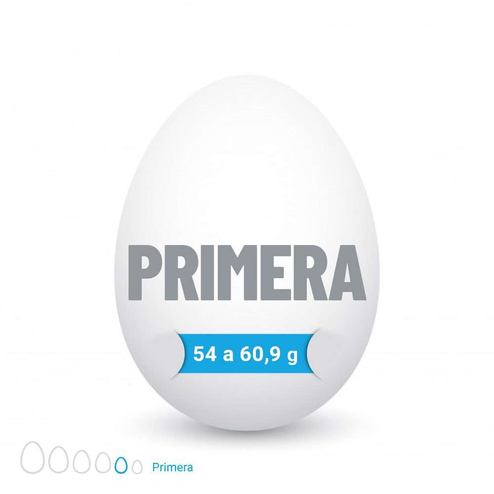 Pack Huevo Blanco Primera (54 a 60,9 g) de 30 1/2 doceneras (180 unidades) - Imagen 2