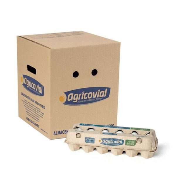 Pack Huevo Blanco Primera de 15 docenas (180 unidades)