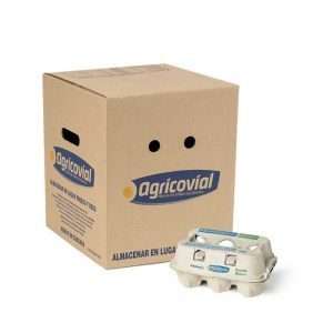 Pack Huevo Blanco Primera de 30 1/2 doceneras (180 unidades)