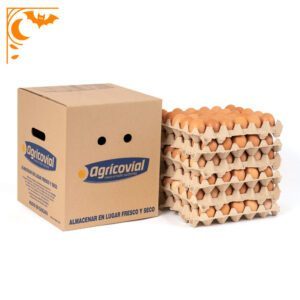 Huevo Color Primera Gallina Libre (54 a 60,9 g) Caja de 180 unidades