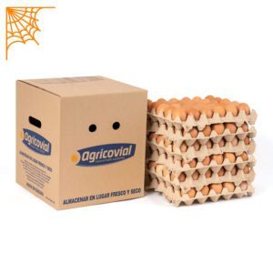 Huevo Color Extra Gallina Libre (61 a 67,9 g) Caja de 180 unidades