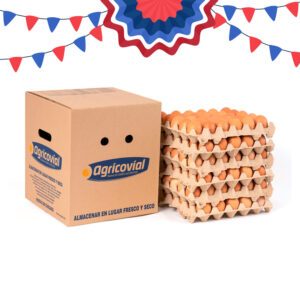 Huevo Color Extra Gallina Libre (61 a 67,9 g) Caja de 180 unidades