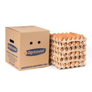 Huevo Color Extra Gallina Libre (61 a 67,9 g) Caja de 180 unidades