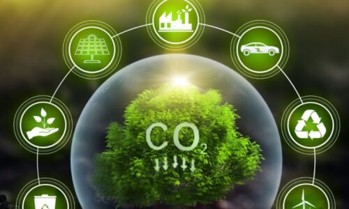 agricovial-evita-mas-de-30000-toneladas-de-CO-al-ano-con-su-planta-de-abono-sustentable