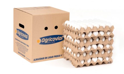 caja de 180 huevos precio