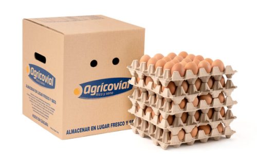 cajas de huevo