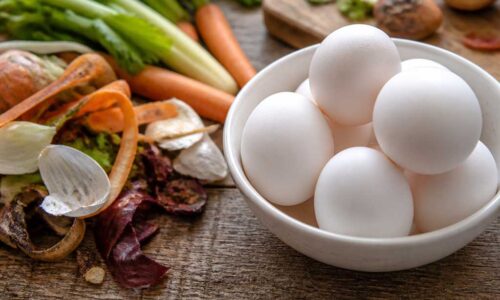 huevos-y-cocina-de-aprovechamiento-menos-desperdicio-en-el-hogar-agricovial-2026-2